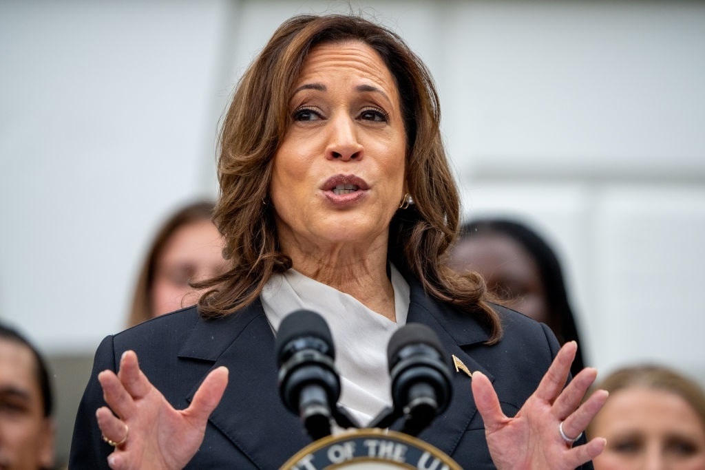 The Biden Coverup and Kamala Harris 2.0